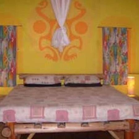 Port Saint Johnʼs Amapondo Backpacker Lodge מראה חיצוני תמונה