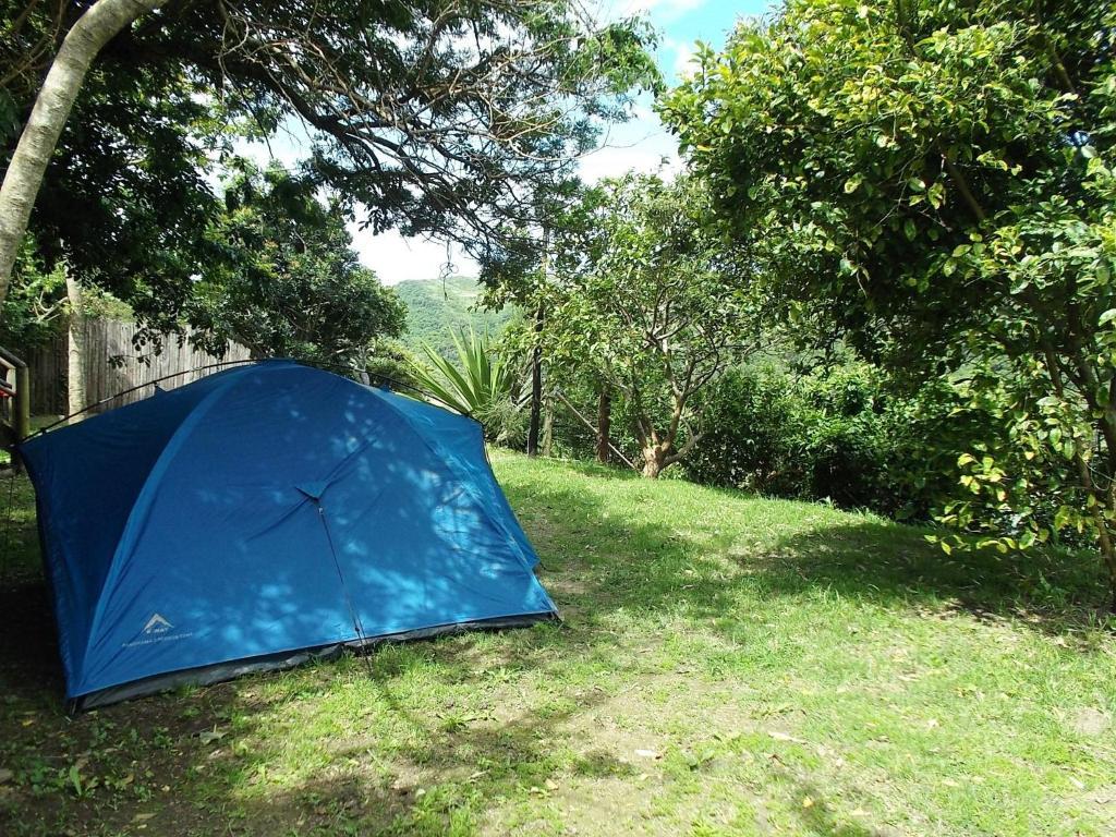 Port Saint Johnʼs Amapondo Backpacker Lodge מראה חיצוני תמונה